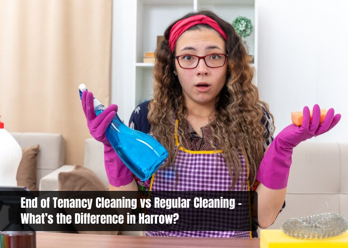 Kitchen Surfaces Cleaning Services