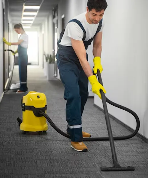 Professional Carpet Cleaning Services